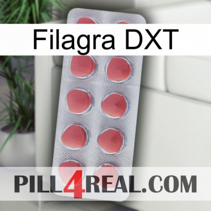 Filagra DXT 18